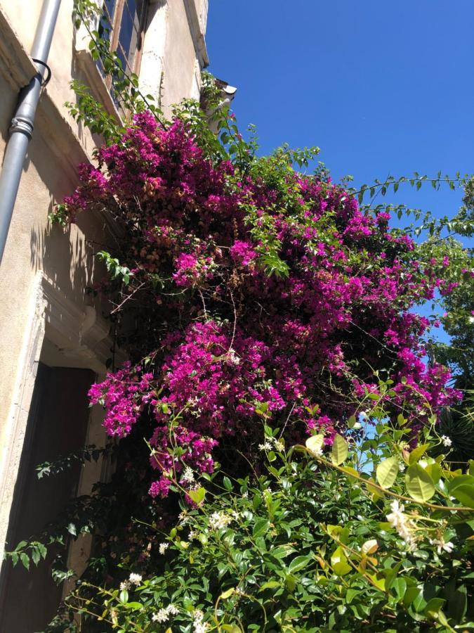 Cuxac-dʼAude L' Ilot Des Iles B&B 외부 사진